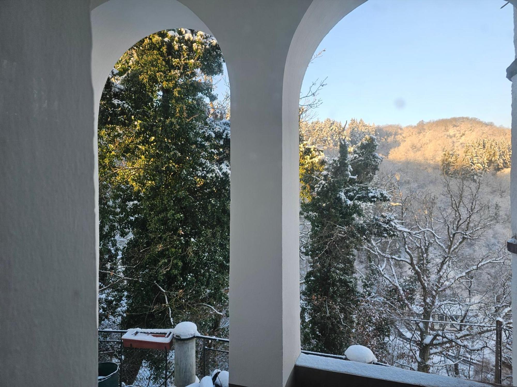 Little Rhineview Chateau Ug Boppard Bagian luar foto